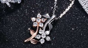 5,19€ le collier avec pendentif fleurs argent et Zirconium J. Rosée ( livré dans un coffret)