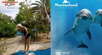 Billet parc Marineland + Adventure Golf moins cher : 23€ enfant / 30€ adulte (contre 31,9€/38,90€)