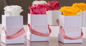 Livraison gratuite sur les roses éternelles et bouquets de fleurs séchées de Atelier 19💐