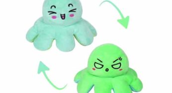 Vente Flash : 5,39€ la peluche pieuvre réversible double face Yumcute (-40%)