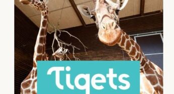 5% de remise sur les billets d’entrée Zoos & Aquariums dans le monde sur Tiqets (code promo)