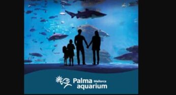 Billet entrée Palma Aquarium moins cher (Majorque – îles Baléares) : 15% de remise avec ce code promo