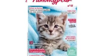 Abonnement au magazine Yummy Pets pas cher : 39,90€ les 2 ans (au lieu de 55,60 €)