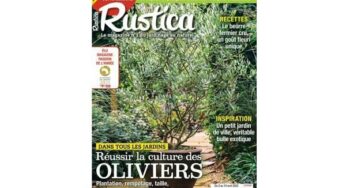 Abonnement magazine Rustica pas cher : 59,90€ les 40N°(+édition numérique) au lieu de 117€