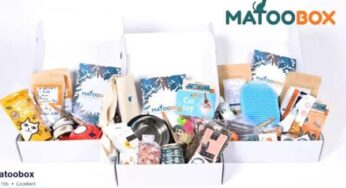 La box Matoobox découverte moins chère : 16,99€ au lieu de 22€ port inclus 🐈 ou bon d’achat de 8€ à 1€