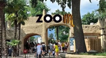 Billet entrée parc animalier Zoom Torino en Italie moins cher : 20€ le billet non daté valable tous les jours (Bioparc)