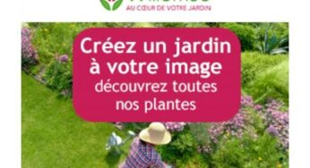 Spécial jardin : 10€ de remise sur Willemse France dès 49€ d’achats