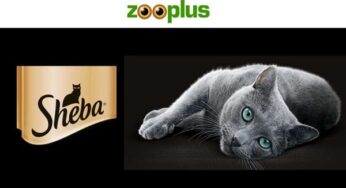 15% de remise sur l’ensemble des produits Sheba sur Zooplus