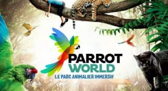 Billet entrée parc animalier Parrot World pas cher ! 10,99€ enfant et 14,99€ adulte (en Île-de-France)