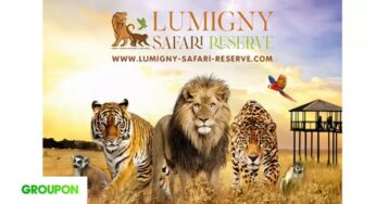 Parc Lumigny Safari Reserve pas cher : dès 13,9€ (Pass 1 jour / Lumigny Safari + Terre de Singes)