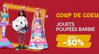 1 Barbie achetée sur la Fnac = la seconde à moitié prix (poupée et univers)