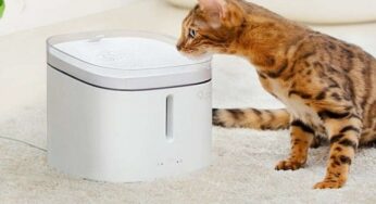 30,84€ le distributeur d’eau pour animaux silencieux et connectée Pawbby 2L (appli Mi Home)