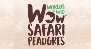 Billet pas cher pour le Safari de Peaugres en vente privée : 20,90€ au lieu de 28,90€