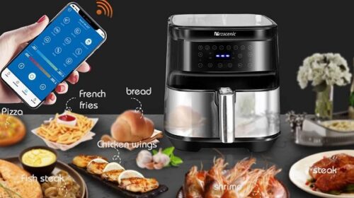 friteuse sans huile multifonction proscenic t21 wi fi 1700w