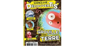 Éveillez la Curiosité de Vos Enfants avec l’Abonnement à Science & Vie Découvertes : 49€ au lieu de 76,90€