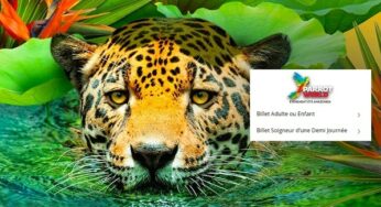 Vente privée billetterie parc animalier Parrot World : billet entrée dés 10,90€, billet Soigneur dés 70€