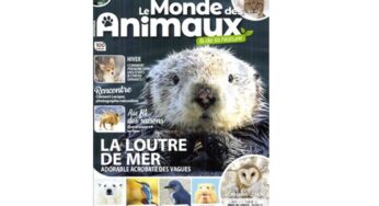 Abonnement au magazine Le Monde des Animaux pas cher : 27€ l’année