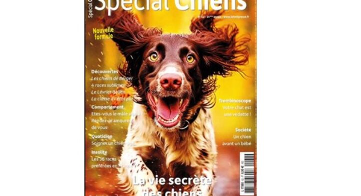 🎄Abonnement au magazine Spécial Chiens pas cher 🐶 19€ les 2 ans au lieu de 55€