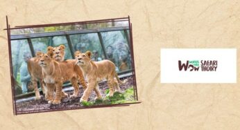 Billet ZooSafari Thoiry moins cher (non daté) ! 22,9€ tarif unique (au lieu de 32€)