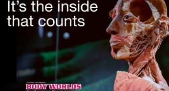 Ticket exposition interactive BODY WORLDS : The Happiness Project Amsterdam pas cher 9,99€ enfant / 14,99€ adulte