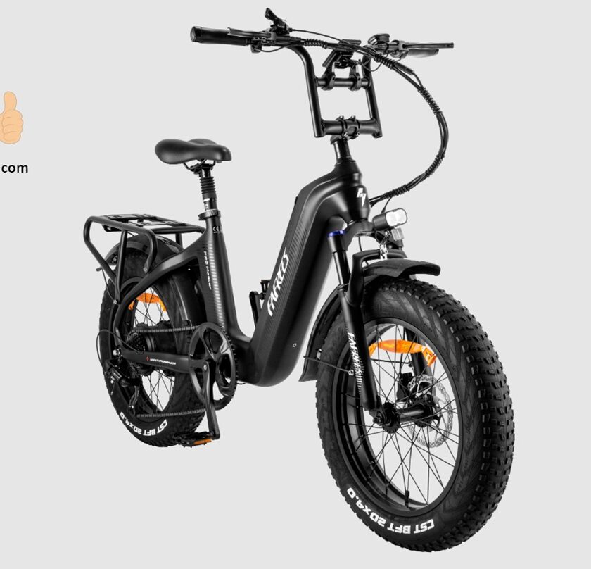 vélo électrique fafrees f20 master 500w