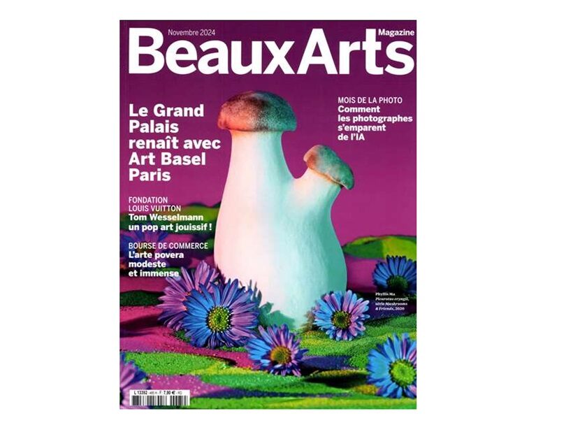 abonnement beaux arts magazine pas cher