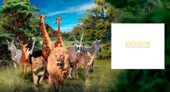 Billet Zoo de La Flèche moins cher ! 15,5€ enfant / 20,5€ adulte (au lieu de 21,5€ / 29,5€)