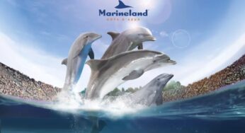 Entrée Marineland moins chère : à partir de 22,90€ (valable jusqu’au 5 janvier).