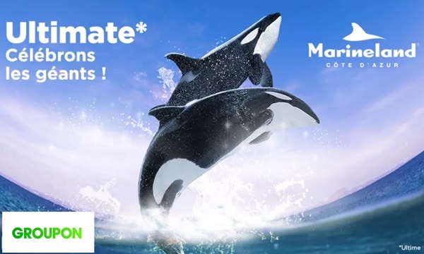 Entrée Marineland moins chère : à partir de 22,90€ (valable jusqu’au 30 septembre).