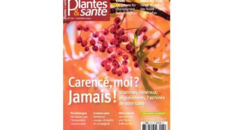 🎄Abonnement magazine Plantes & Santé pas cher 14€ l’année (11 n°) au lieu de 65,45€