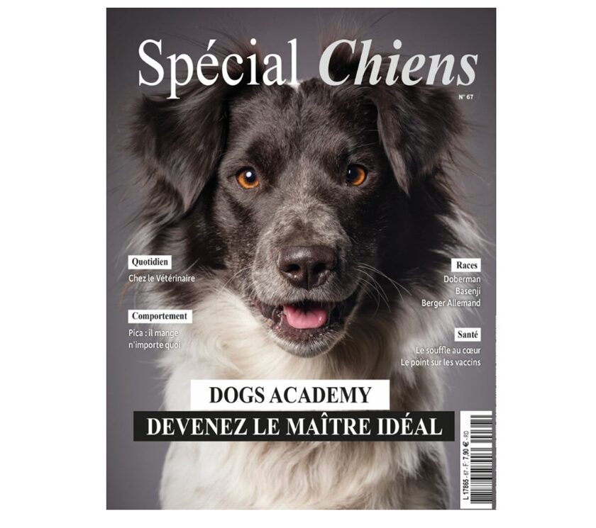 abonnement au magazine spécial chiens pas cher