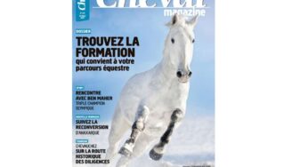 Abonnement Cheval Magazine pas cher : 58,8€ l’année (13 numéros dont 1 HS)