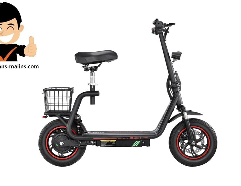 trottinette électrique honeywhale m5 pro s en promo